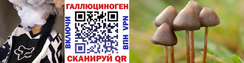 Псилоцибиновые грибы ЛСД  где купить   Сковородино 